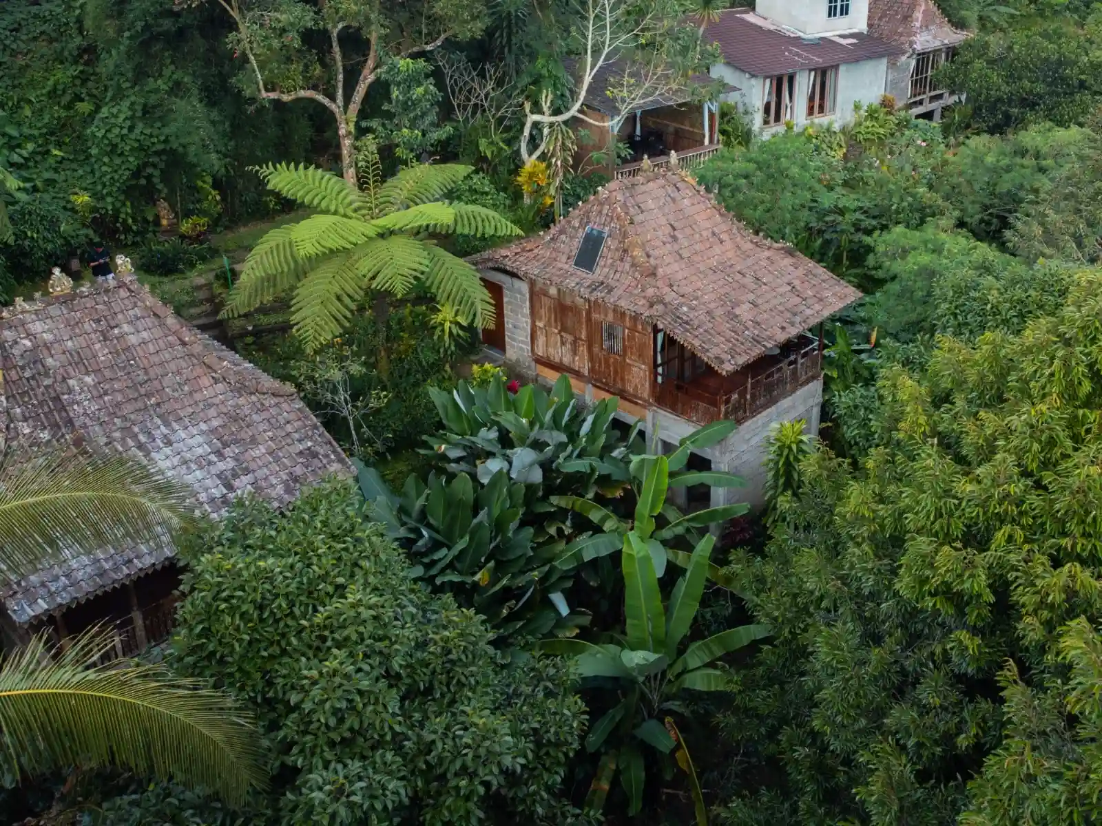 Lush rice terraces in Central Bali