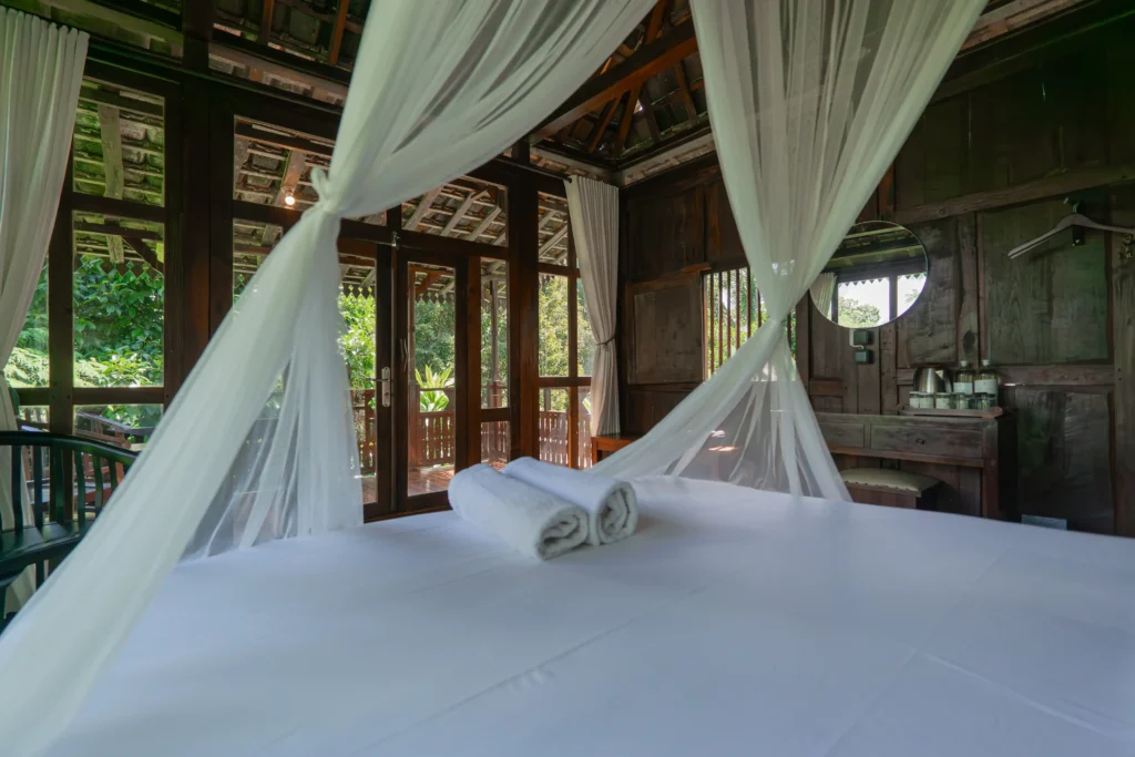 Accomodations | Kebun Kita Ecolodge | Deluxe Room