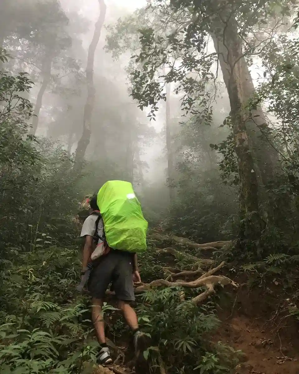Trekking