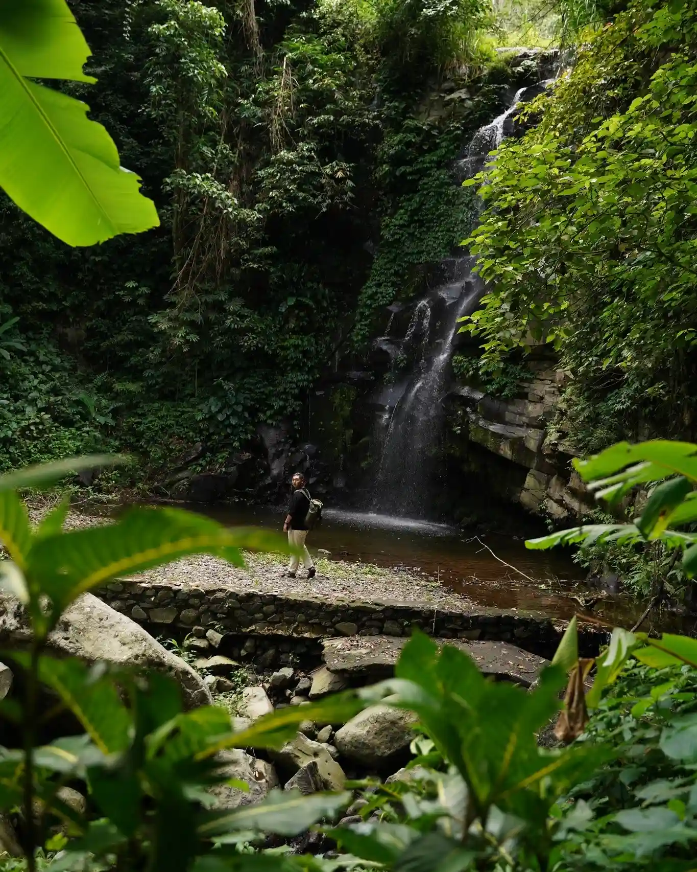 Tropical jungle trekking path in Bali