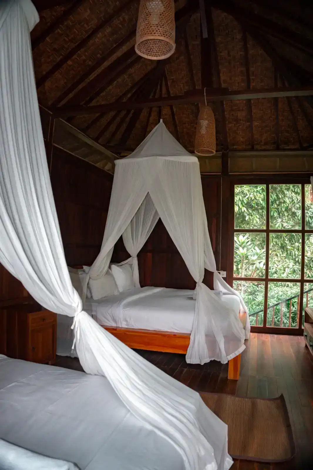 Ecolodge landscape